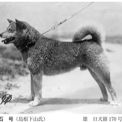 NAKA