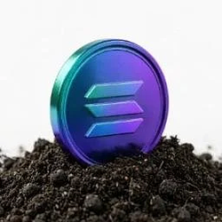seedcoin / SOL