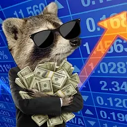 Rackcoon / SOL