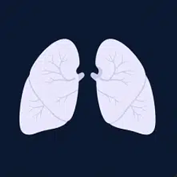 LUNG