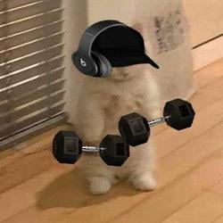 $FITCAT