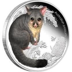 POSSUM / SOL