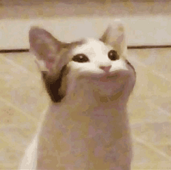 meow