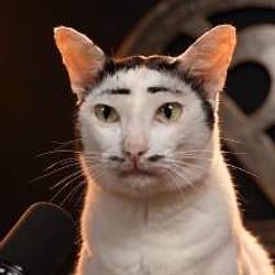 Felipe