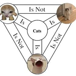 Cattogram
