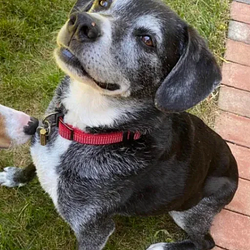 Nvidia / SOL