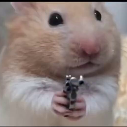 CRYGUN