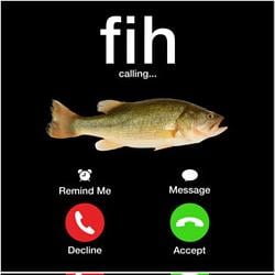 fih / SOL