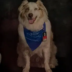 Jax