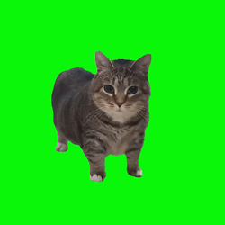 Oiiai