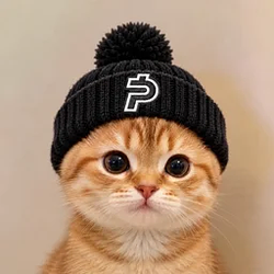 CATPAID