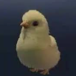 CHICK