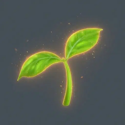 Seedling