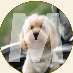 MARSHALL