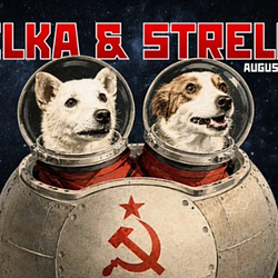 MOONDOGS