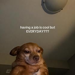 neetdog