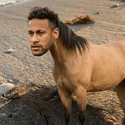 NEIGHMAR