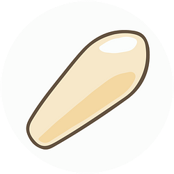 DUMP.FUN logo