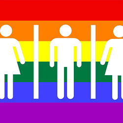 LGBT / SOL