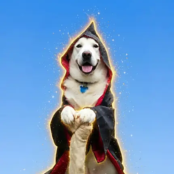 Gandalf / SOL