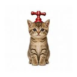 faucat