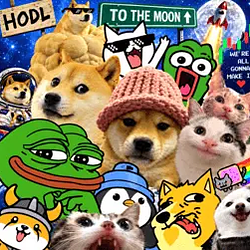 animals