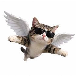 flyingcat