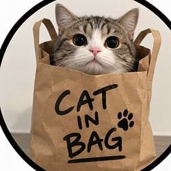 $CatB