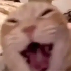 CATTAX