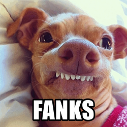 FANK$