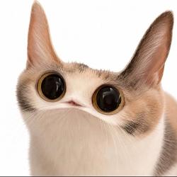 MEEP