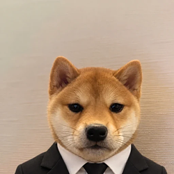 ceo / SOL