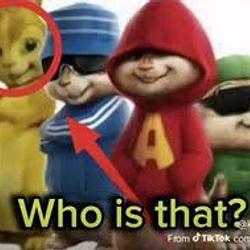 WHO??