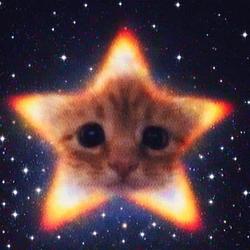 STARCAT