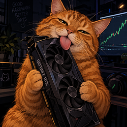 MEOW / NVDAx