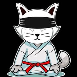RYOCAT