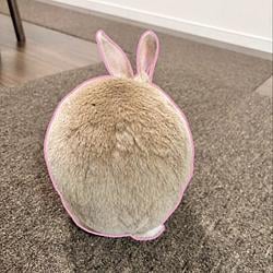 チャコ