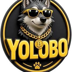YOLOBO