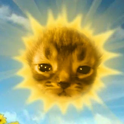 solcat