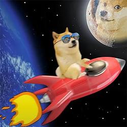 $DOGEMOON