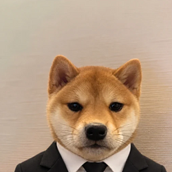 CEO / SOL