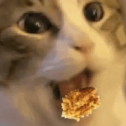 Nomcat
