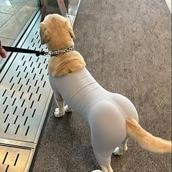 THICKINU