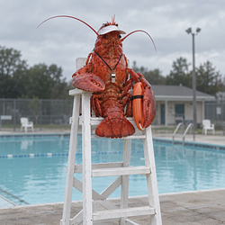 LOBGUARD
