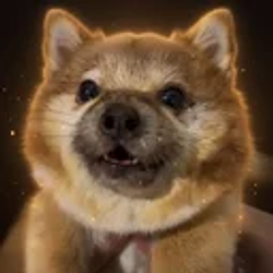 V / SOL