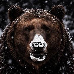 Cocaine