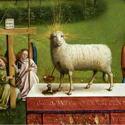 Lamb