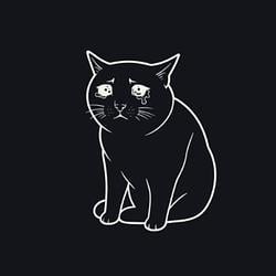 CashCat