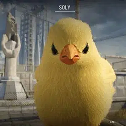 SOLY