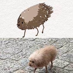 FLOOF